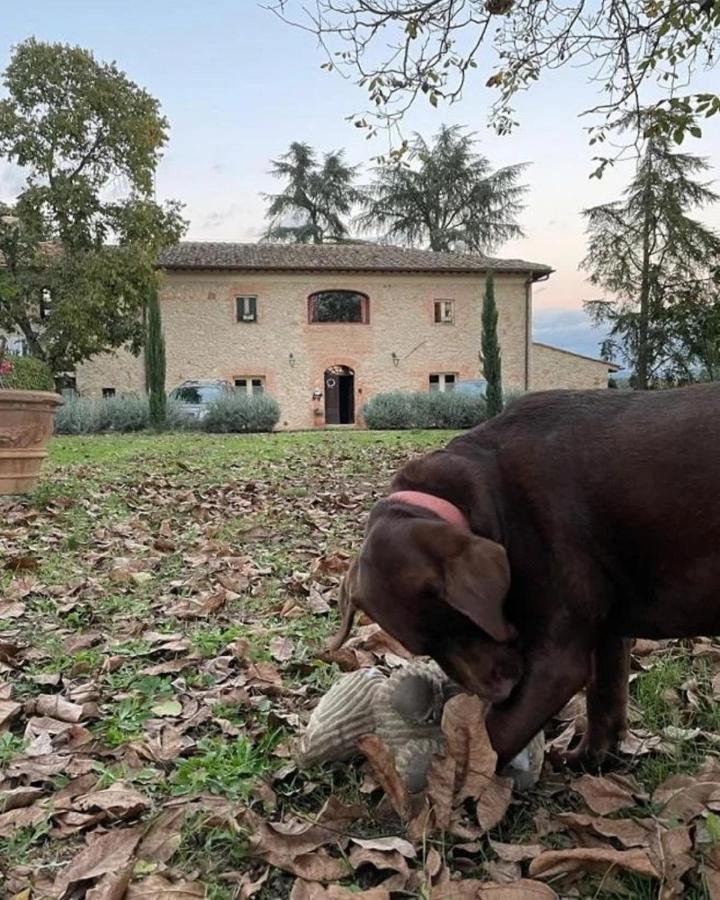 Agriturismo La Segolina Colle Val D'Elsa Exterior photo